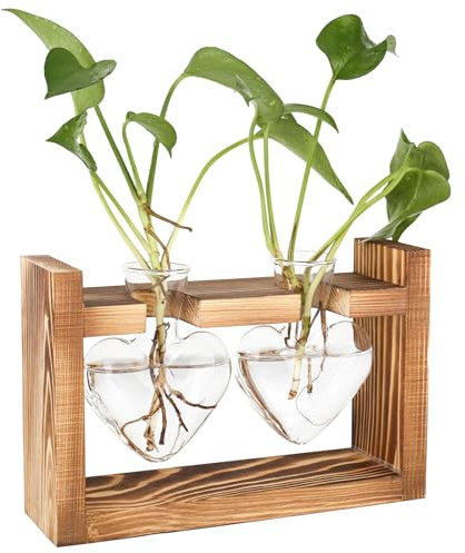 bssmmai Stazione di propagazione in vetro per piante, decorazione vintage con cornice in legno, set per casa, soggiorno, ufficio, tavolo, davanzale della finestra, vaso per fiori idroponici, piccolo