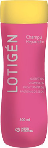 lotigen Hygiene Kapillare, Pink – 24 Behälter 300 ml – Total: 7200 ml