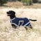 Horseware Hundedecke Amigo Ripstop
