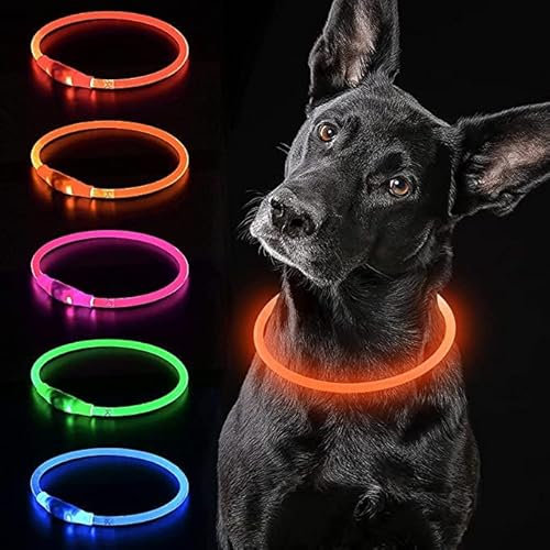 iTayga leuchthalsband Hund, USB-aufladbar und wasserdicht hundehalsband, verstellbare Länge, Sicherheitshalsband für Hunde und Katzen, 3 Modi, Orange