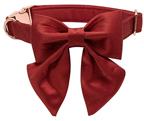 Lionet Paws Hundehalsband Fliege - komfortable Seide Hundehalsband mit abnehmbaren Fliege für Welpen und Katze, Hals 20-30cm