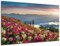 DARO Design - Wand-Bild auf 6mm HDF 40x30 cm Blumen-Wiese - Wand-Deko Bilder Geschenk