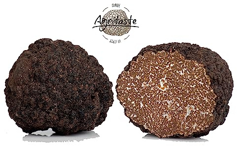 Agritaste® 250 g Tartufo estivo fresco 1° scelta + OMAGGIO. Provenienza ITALIA (250g Tartufo di PRIMA SCELTA + OMAGGIO)