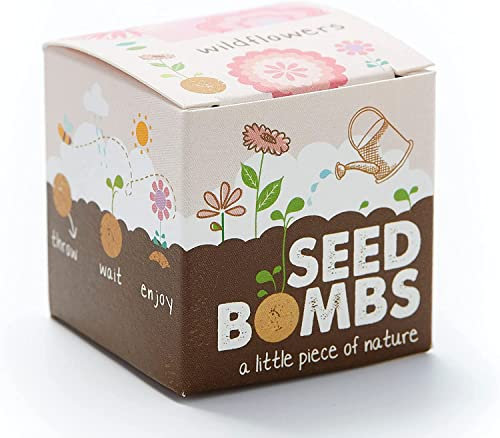 Die Stadtgärtner – Seedbomb „Wildblumen“ I 25 handgemachte Samenbomben mit 25 Arten Blumensamen I Enthält u.a. Kornblume, Ringelblume & Steinkraut I Mit ökologischem Saatgut & min. 2 Jahre haltbar