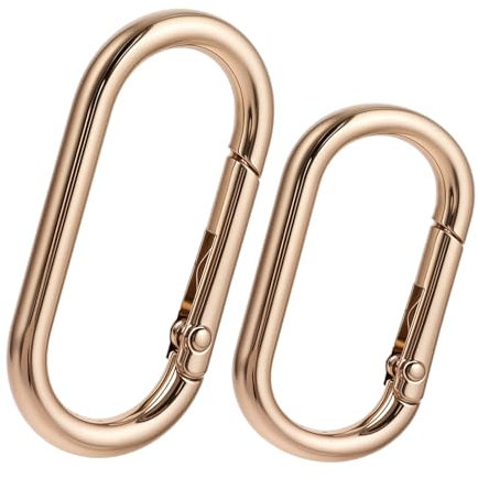 Aeaocvo 2 Stück 40 mm Gold Karabinerhaken Klein, Golden Karabiner Ring Edelstahl, Oval Schlüsselring für Geldbörsen, Schlüsselkette, DIY Handwerk Machen