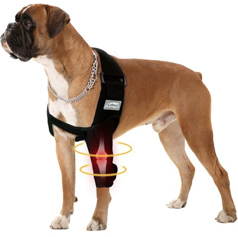Vorderbeinbandage für Hunde, Ellenbogen-Dysplasie, Schulterluxation, Hygroma, Haustier verhindert Lecken, Wundellbogenschutz, vermeidet Schamkegel, abriebfeste Hunde-Genesungsmanschette, Größe L