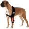 Vorderbeinbandage für Hunde, Ellenbogen-Dysplasie, Schulterluxation, Hygroma, Haustier verhindert Lecken, Wundellbogenschutz, vermeidet Schamkegel, abriebfeste Hunde-Genesungsmanschette, Größe L