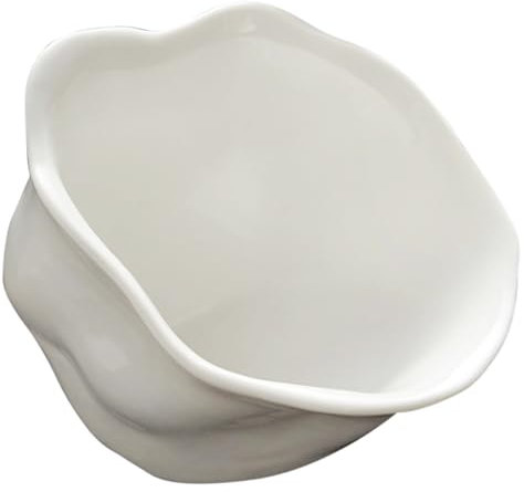 Plateau De Plateau Apéritif Bol à Condiments En Porcelaine Bols Dingrédients Pour La Préparation Plat Dassaisonnement De Sauce Plat à Sauce Céramique Moule à Gâteau Blanche Frites