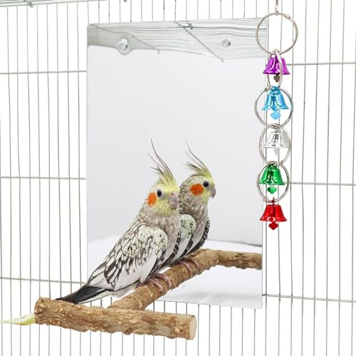 30 × 20 cm Großer Vogelspiegel mit Sitzstange, Vogelspiegel mit Schaukelglockenspiel, Vogelkäfigzubehör, geeignet für Wellensittich, Nymphensittich, Ziegensittich, Unzertrennliche