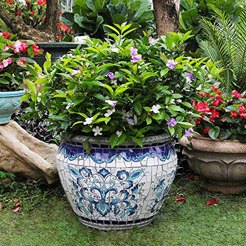 asdchZen Maceta Azul Grande para Exteriores/Interiores, Maceta para Suelo, Pintura En Color, Maceta De Cerámica para Bonsái, Maceta De Cemento, Maceta para Jardín, Estilo Pastoral, Planta Verde