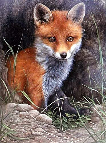 NAIMOER 5D Diamond Painting Diamant Painting Bilder für Erwachsene Fuchs Diamond Painting für Kinder Diamant Malerei Full Drill Diamond Painting Set für die Inneneinrichtung 30X40cm