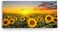 Paul Sinus Wandbild 120x60cm Sonnenblumen Blumenfeld Sonnenblumenfeld Sonne Gelb