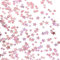 Giftota Rose Gold Star Confetti, Table Star Confetti with Mix Glitter Scatter, 30g Twinkle Star Sequins for Birthday Party Wedding Anniversary Arts & Crafts Supplies (Glitter Rose Gold)
