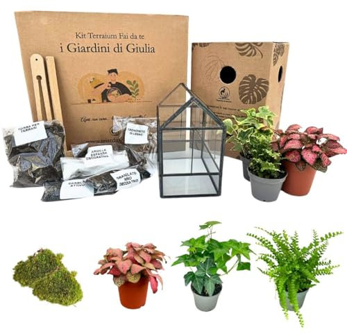 I GIARDINI DI GIULIA - Kit de terrario de bricolaje | Cristal y hierro robusto | Incluye 3 plantas y decoraciones | Terrario para plantas de cristal | Tamaño compacto, negro y transparente