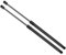 Verins de Coffre Compatible avec Peugeot 206/206+ 1998-2013 8731E6