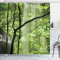 ABAKUHAUS Landschaft Duschvorhang, Dschungel-Wasserfall Baum, Stoffliches Gewebe Badezimmerdekorationsset mit Haken, 175 x 240 cm, Grün und Braun