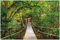 Wallario selbstklebendes Poster - Hängebrücke im Urwald grüner Dschungel, Aufkleber in Premiumqualität, Klebefolie Größe: 100 x 150 cm XXL-Poster