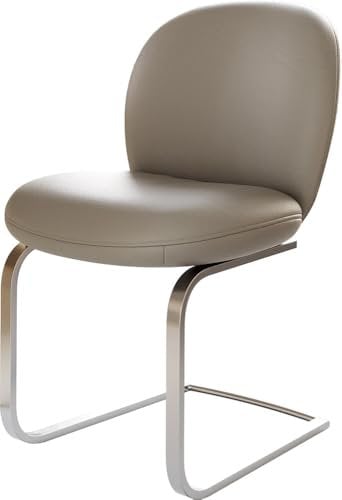 DELIFE Schwingstuhl Nube-Flex Freischwinger flach Edelstahl Echt-Leder Schlamm Taschenfederkern