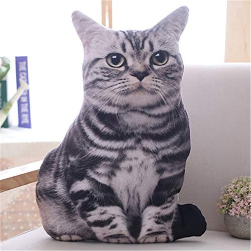 Nicole Knupfer 3D Zierkissen mit waschbarem Bezug, Cute Katze, Dekokissen, weiches Kopfkissen, Sofakissen Couchkissen Home Decoration, geeignet für Allergiker (C,70cm)