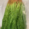 150 pcs fenchelsamen saatgut bio bio gemüse, pflanzen samen fenchel samen knollenfenchel frisches gemüse, exotische pflanzen samen kräuterbeet, balkon gemüsebeet, samen samen gemüse