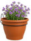 TECHZOCO Macetero con Soporte de Pared, Maceta Redonda plástico, Tiesto Colgar Flores, Fabricado en Polipropileno, Recipiente Pared para Flores, 18 cm diámetro x 10 cm Base x 13.5 cm Alto, Marrón