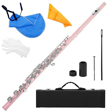 Flöte Cupronickel Überzogene Silber 16 Löcher C Key Woodwind Instrument Mit Handschuhen Querflöte (Color : Pink)