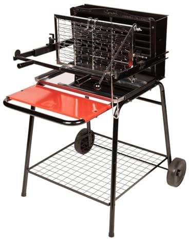 Pack barbecue au charbon de bois avec foyer vertical RAYMOND, SOMAGIC