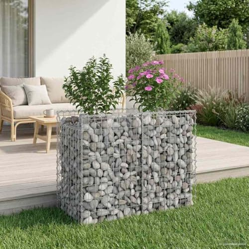 Gabionen Hochbeet Silber verzinkter Stahl 100 x 50 x 80 cm Gartengitter Maschendrahtzaun Wühlmausgitter Mäusegitter Volierendraht robust wetterbeständig