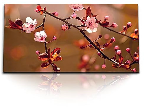 Paul Sinus Kunstdruck Bilder 120x60cm Baumblüten Kirschblüten Rot Rosa Zweige Frühling