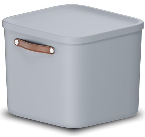 Rotho Maloja Aufbewahrungsbox 40 l, Kunststoff, hellblau, 40 (39.5 x 38.0 x 34.0 cm)