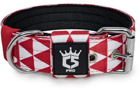 TSPRO Taktisches Hundehalsband, Robustes Halsband für Hunde mit Metallschnallenverschluss, 3,8 cm Breit, Verstellbar und Dick für Mittel bis Großgroße Hunde (Geometrisch L)