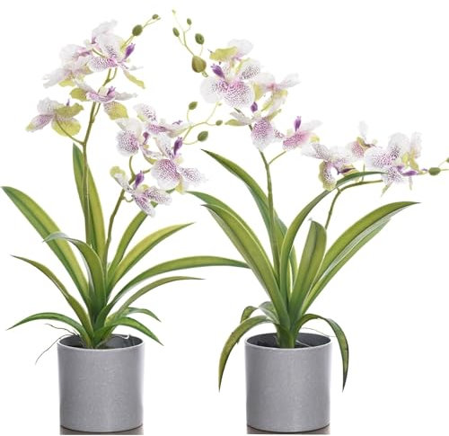 Premium Mini Orchideen Künstlich 45 cm I Zweierpack I Wie Echt I Im Topf I Hergestellt in Der EU I 2 Stängel - 9 Blüten I Lila (Kunststoff-Blumentopf)