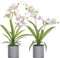 Premium Mini Orchideen Künstlich 45 cm I Zweierpack I Wie Echt I Im Topf I Hergestellt in Der EU I 2 Stängel - 9 Blüten I Lila (Kunststoff-Blumentopf)