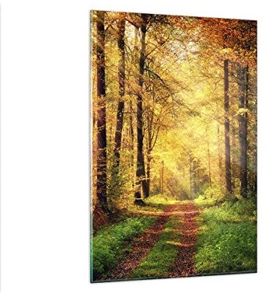 ARTTOR Vidrios decorativos bosque arbol naturaleza Cuadro Sobre Vidrio Moderno 80x120cm Decoracion Salon Cocina Cuadros Pared Impresiones Grande Impresión en Cristal Wall Art Prints GPA80x120-3718