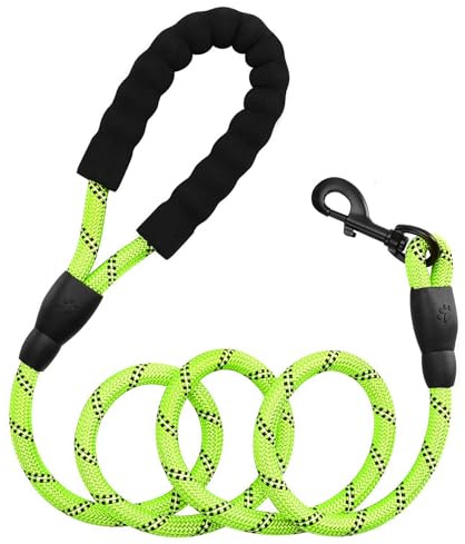 deegbbyi Laisse pour Chien de 2 m, Laisse Réfléchissante pour Chien en Nylon, avec Poignée Rembourrée Confortable, pour Chiens de Taille Moyenne Pesant Jusqu'à 15 kg (Vert)