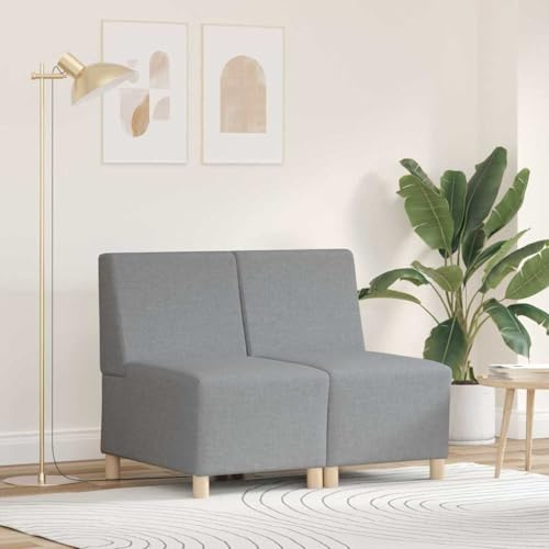 Qnhdfrt Light Gray Modular 2-Seater Armless Fabric Sofa