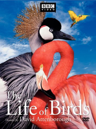 Life of Birds [DVD] [1998] [Region 1] [US Import] [NTSC]