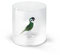 WD Lifestyle Tumbler in borosilicato Modello Monterey Dec.papagallo