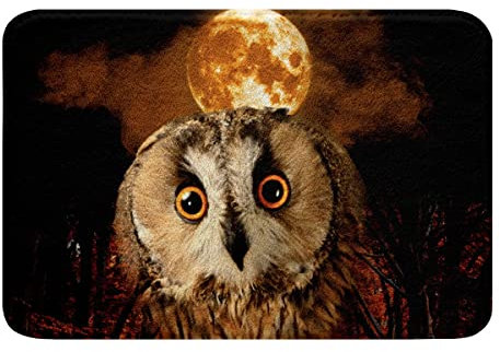 Eule Badematte 40x60cm 3D Tierdruck Badteppiche Erwachsene Niedlich Vogel Dekor Rutschfest Badezimmerteppich Karikatur Eulen Design Weich Zottelig Schlafzimmer Küche Badvorleger Natur Wohnkultur