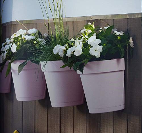 VECA SPA - Maceta de Pared - Modelo Cleo, Maceta de Pared de plástico Resistente para Plantas y Flores de Exterior e Interior