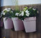 VECA SPA Pot Mural – Modèle Cleo, Pot de Fleurs Mural en Plastique résistant pour Plantes et Fleurs d'extérieur et d'intérieur