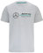 MERCEDES AMG PETRONAS Formula One Team - Offizielle Formel 1 Merchandise Kollektion - Großes Logo-T-Shirt - Grau - Herren - XL