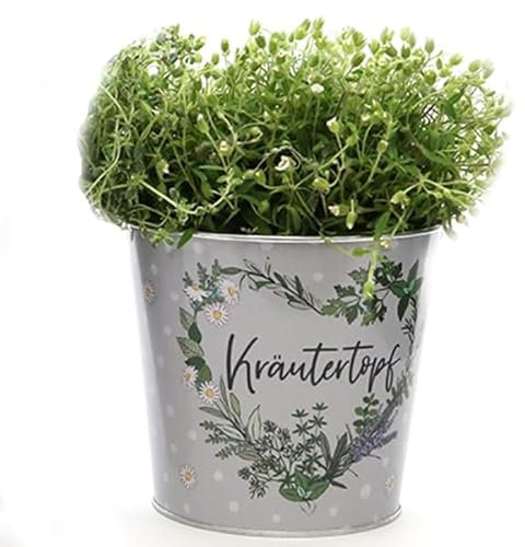 Arinosa Zink Blumentopf Kräutertopf Metall Ø16x10 cm Mehrfarbig Indoor