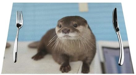 Niedliches Otter-Tischset, gewebt, rechteckig, gewebt, erhältlich in Küchen und Restaurants