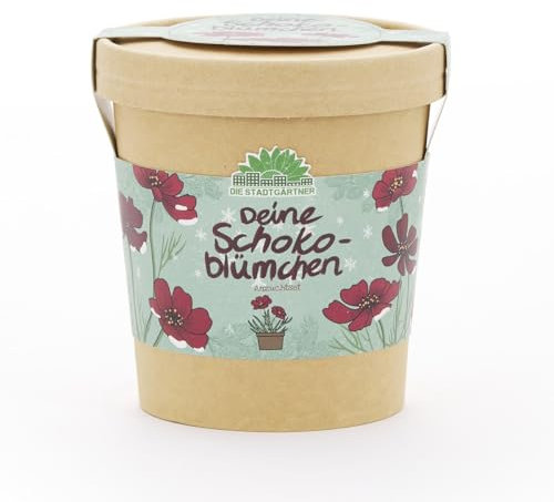 Anzuchtset für Schokoblumen von Die Stadtgärtner | Schokoladenblume Starter-Set inkl. Pflanzbecher, Saatgut und Kokoserde | Tolle Geschenk-idee für Schokoladenliebhaber, Garten-Freunde & Kinder