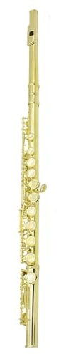 HQWBVD Flöte 16-Loch-Flöte C-Taste Farbige Vernickelte Flöte E-Taste Anfängerprüfung Leistungsinstrument Flöte(Gold)