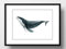 Din A4 Kunstdruck ohne Rahmen - Wal Blauwal Meer Badezimmer Aquarell Maritim Poster Bild