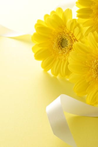 Daisy Notebook