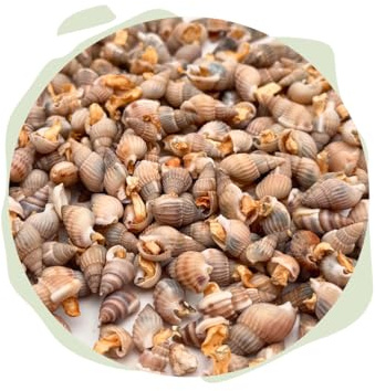 Warnick's Naturhäppchen Schnecken gefriergetrocknet - 100 g | Naturfutter für Zierfische, Garnelen & Krebse - Gefriergetrocknet & naturbelassen - Wertvolle Nahrungsergänzung