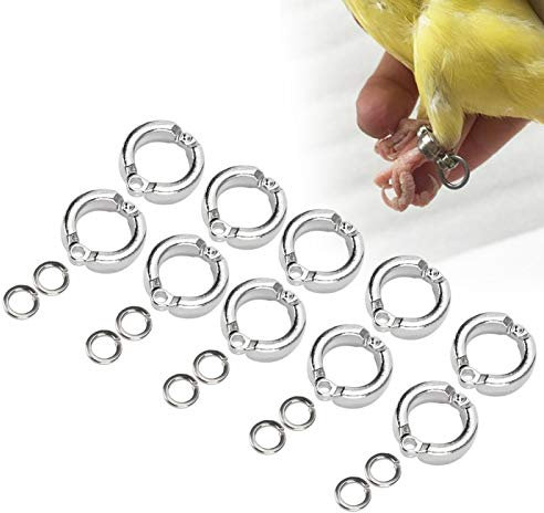 Cikonielf 10 Stück Vogel Fußringe Metall Vogel Klemmringe Papagei Beinring Fußring für Papageien Vögel Wachtel Tauben Papageien(#6)